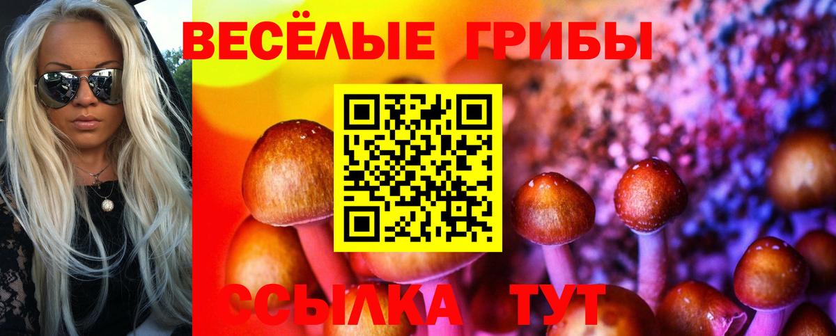 Меф   Гашиш  Бошки Шишки  Саратов  Вход с VPN  ГАШИШ  Мефедрон  КОКАИН 