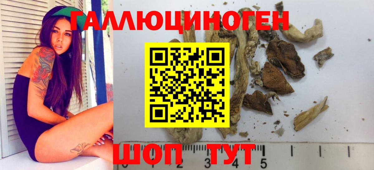 Саратов  Галлюциногенные грибы Cubensis  Вход с VPN 